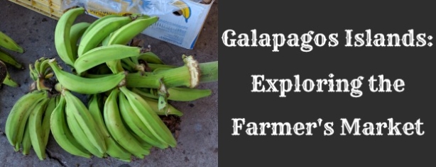 Featured Image Galapagos Exploring The Farmers Market 6.9.16