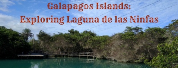 Featured Image Galapagos Laguna De Las Ninfas 6.20.16