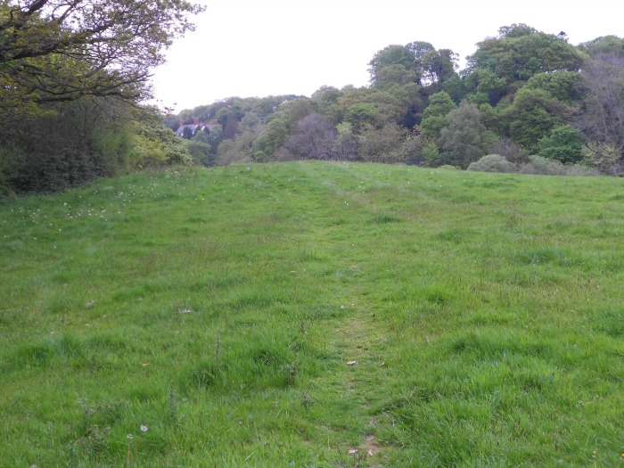 A grassy track that I sincerely hope is part of the Wales Coast Trail