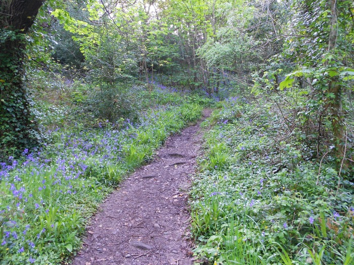 Taking the mysterious pedestrian path up the muddy hillside