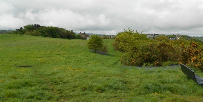 A more crushed here than over there green walking path led me through the meadow . . .