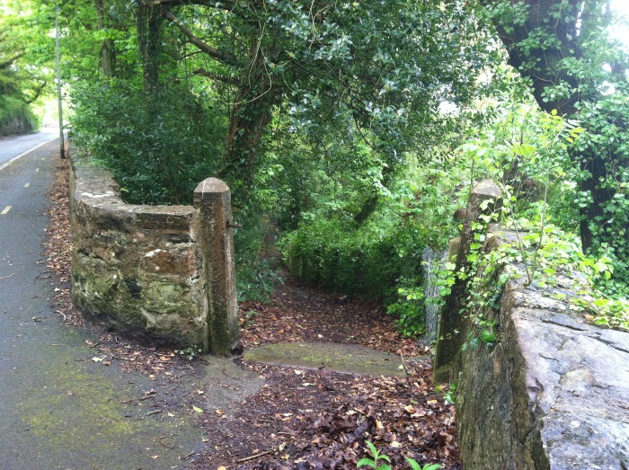 Mysterious path leading away from road and down towards the Menai Strait