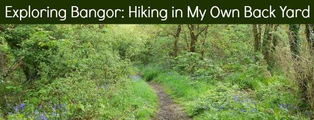 Exploring Bangor Hiking In My Own Back Yard May 2014