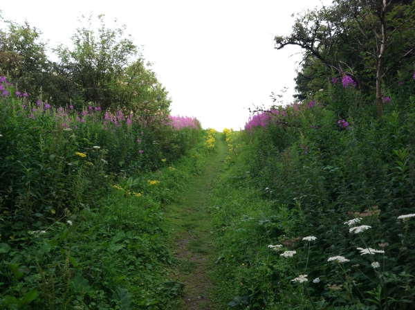 Gowan Hill Heritage Trail Stirling - 8.13.15 taken by FF