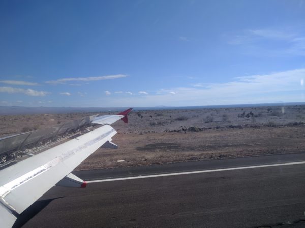 Baltra Island from the airport runway