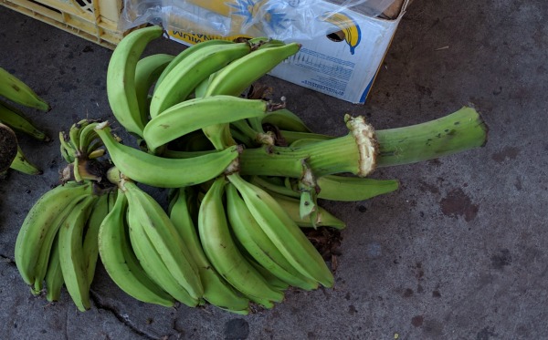 Bananas, Farmer's Market, Puerto Ayora, Galapagos - taken 6.4.16 by FF