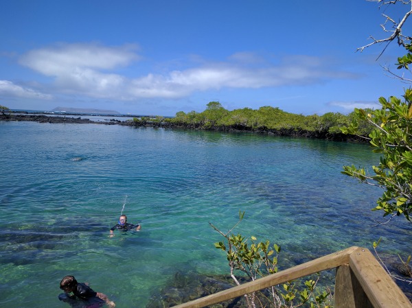 Concha Perla, Isla Isabela, Galapagos - taken 6.10.16 by FF