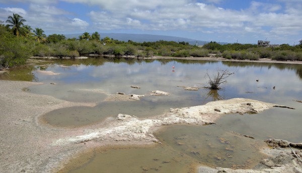 Flamingo Lagoon, Isla Isabela, Galapagos - taken 6.10.16 by FF