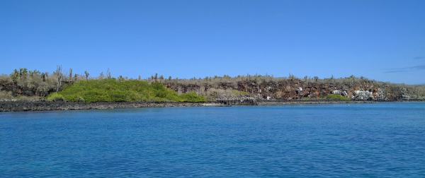 Franklin Bay, Puerto Ayora, Galapagos - taken 6.5.16 by FF