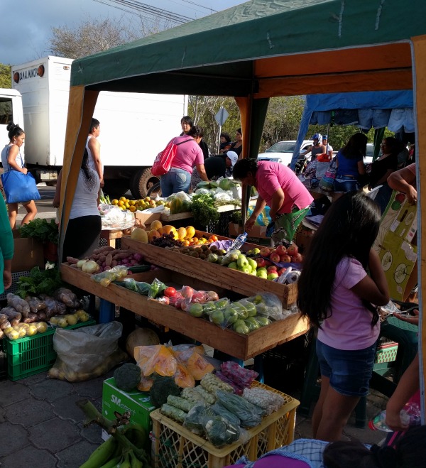 Fruit Stand, Farmer's Market, Puerto Ayora, Galapagos - taken 6.4.16 by FF