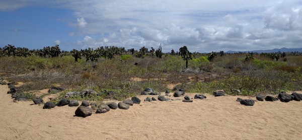 Inland View from Playa de los Perros, Puerto Ayora, Galapagos - taken 6.5.16 by FF