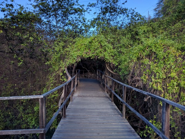 Laguna de las Ninfas 4, Puerto Ayora, Galapagos - taken 6.8.16 by FF