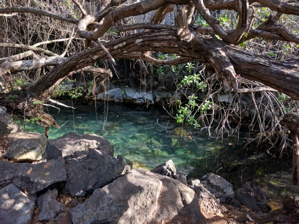 Laguna de las Ninfas 5, Puerto Ayora, Galapagos - taken 6.8.16 by FF