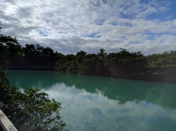 Laguna de las Ninfas 6, Puerto Ayora, Galapagos - taken 6.8.16 by FF