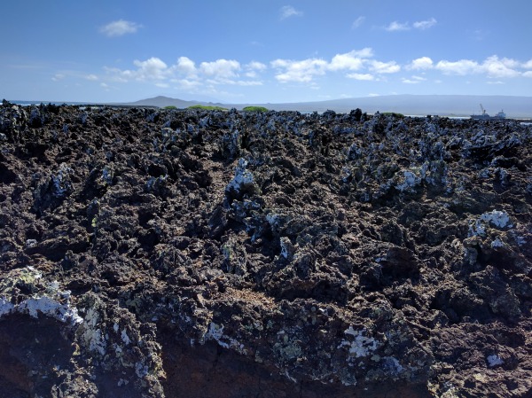 Lava Field, Islote Tintoreras, Isla Isabela, Galapagos - taken 6.10.16 by FF