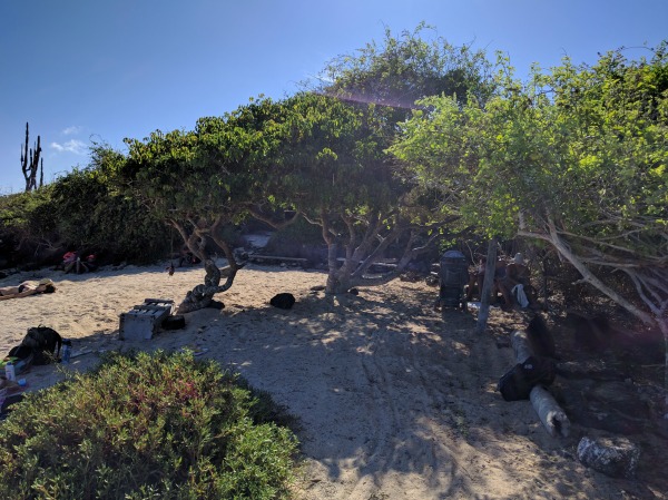 Lots of shade to keep out of the hot afternoon sun.