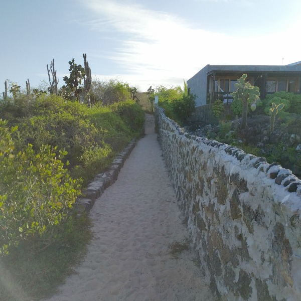 Path to Las Grietas, Puerto Ayora, Galapagos - taken 6.9.16 by FF