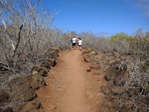 Path to Playa de los Perros, Puerto Ayora, Galapagos - taken 6.5.16 by FF