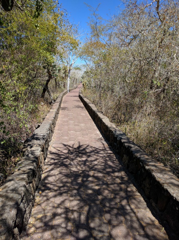 Path to Tortuga Bay