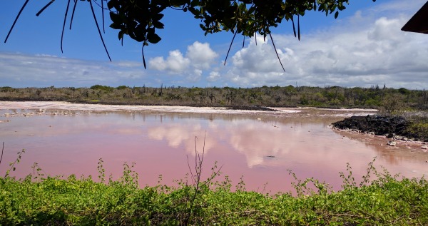 Salt Mine, Trail to Las Grietas, Puerto Ayora, Galapagos - taken 6.5.16 by FF