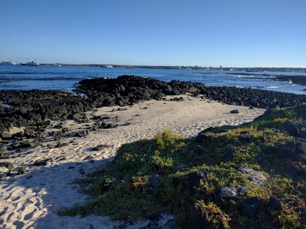 This small beach feels remote, but is 5 minutes from the research station.