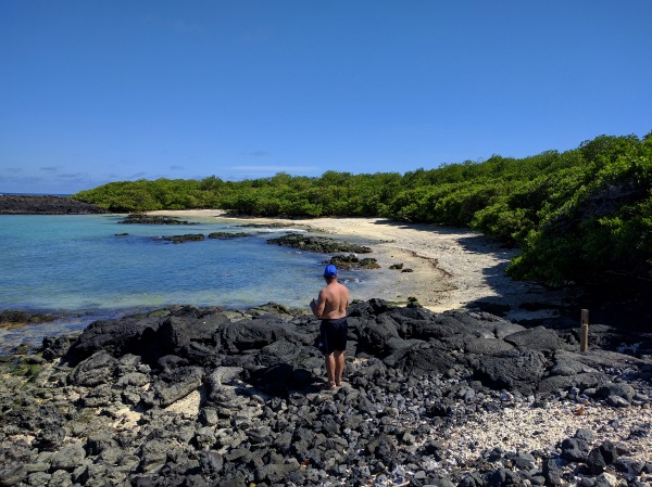 Sea Lion Bay, Islote Tintoreras, Isla Isabela, Galapagos - taken 6.10.16 by FF