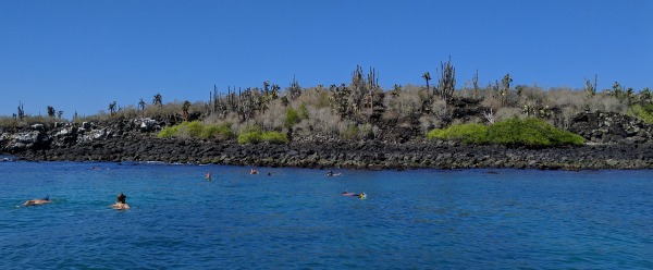 Snorkeling Franklin Bay, Puerto Ayora, Galapagos - taken 6.5.16 by FF