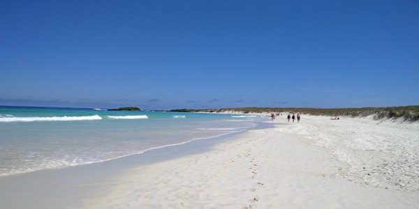 West view of Playa Brava, looking towards Tortuga Bay