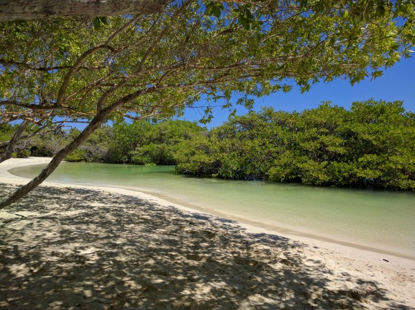 View of Tortuga Bay from our shady benches