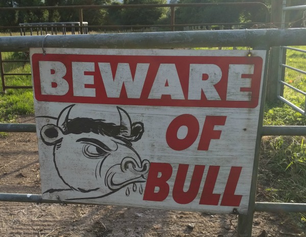 Bull Sign, Belturbet, Ireland - taken by FF 6.23.16