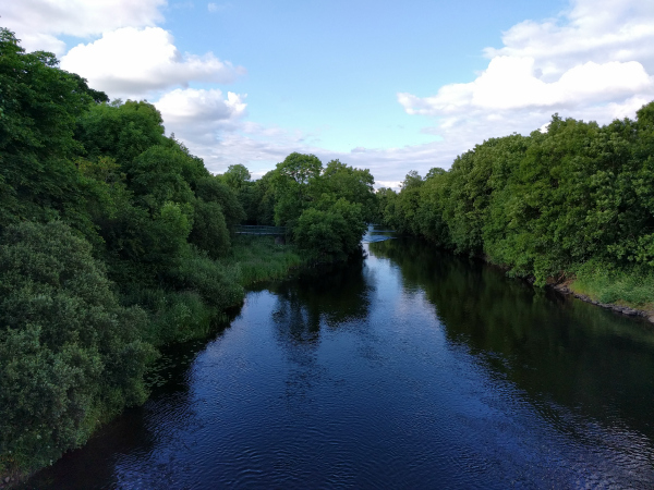 River Erne - North - Sunny, Belturbet, Ireland - taken 6.23.16