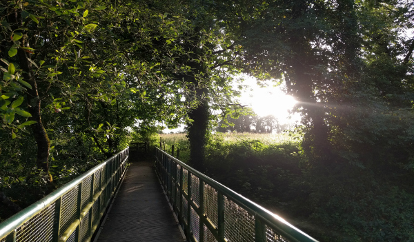 Sunlight on Footbridge, River Erne, Belturbet, Ireland - taken by FF 6.28.16
