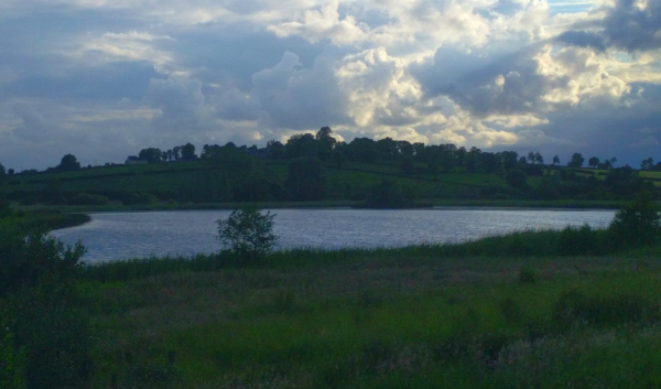 Swan Lake, Belturbet, Ireland - taken by FF 6.23.16