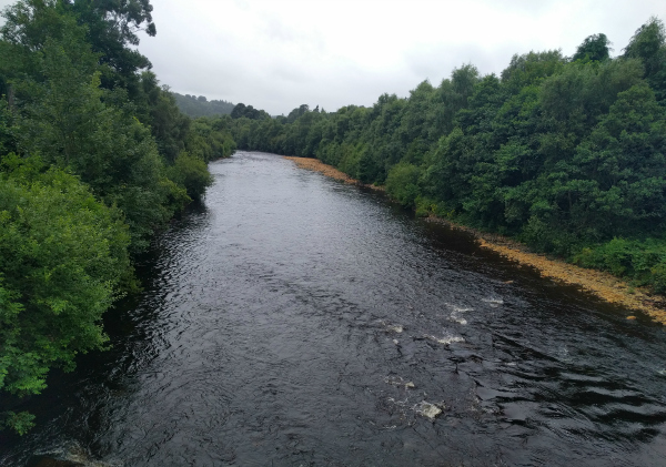 Avoca Bridge - North, Avoca, Ireland - taken 7.16.16 by FF