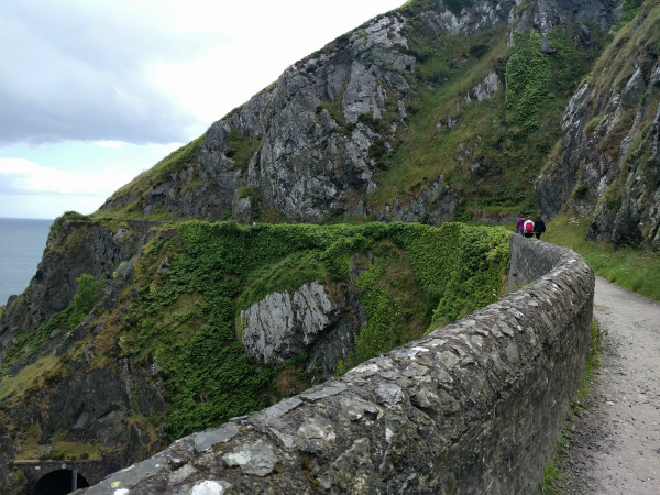 Cliff Walk 1, Ireland - taken 7.2.16 by FF