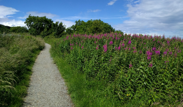 Cliff Walk 5, Ireland - taken 7.2.16 by FF