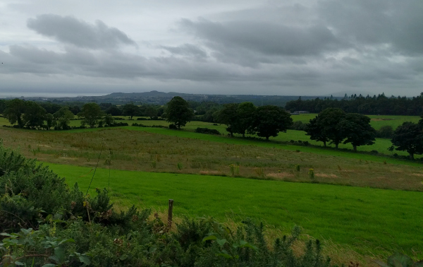 Countryside 1, Arklow, Ireland - taken 7.16.16 by FF