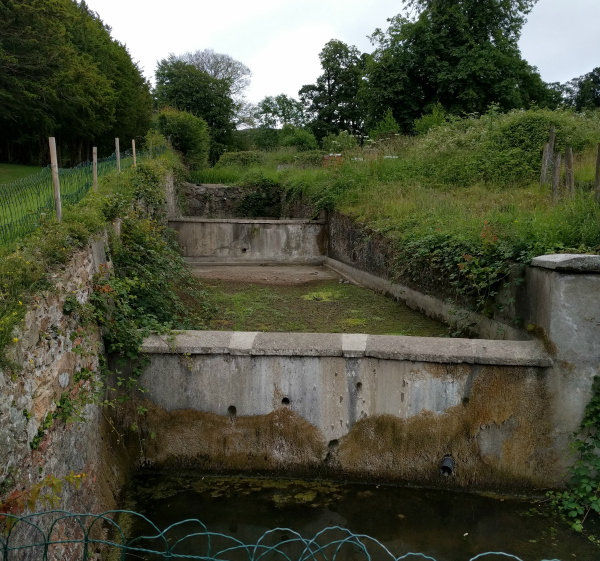 Ditch, Killruddery House, Ireland - taken 7.4.16 by FF