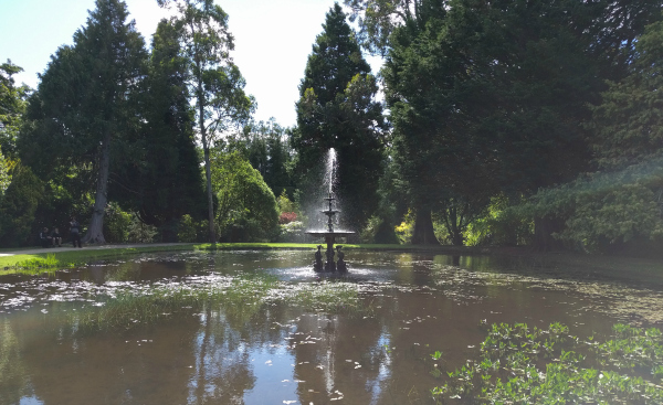 Dolphin Pond, Powerscourt Estate, Ireland - taken 7.2.16 by FF