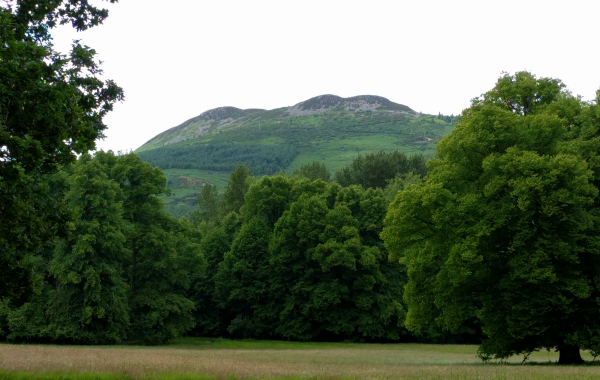 Fields, Killruddery House, Ireland - taken 7.4.16 by FF