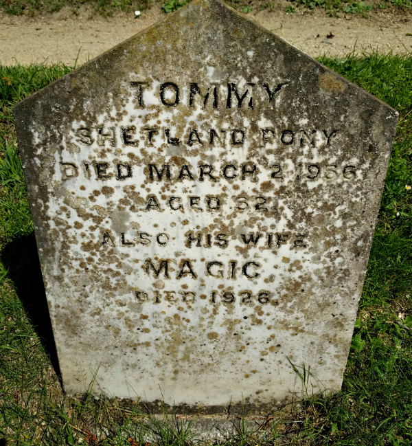 Gravestone 1, Powerscourt Estate, Ireland - taken 7.2.16 by FF