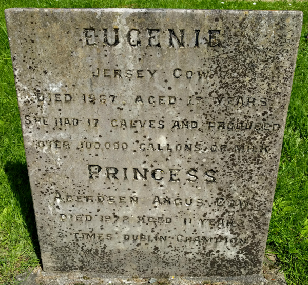 Gravestone 2, Powerscourt Estate, Ireland - taken 7.2.16 by FF