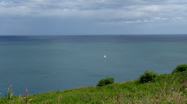 Irish Sea from Cliff Path, Ireland - taken 7.2.16 by FF