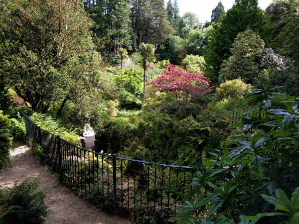 Japanese Garden 1, Powerscourt Estate, Ireland - taken 7.2.16 by FF