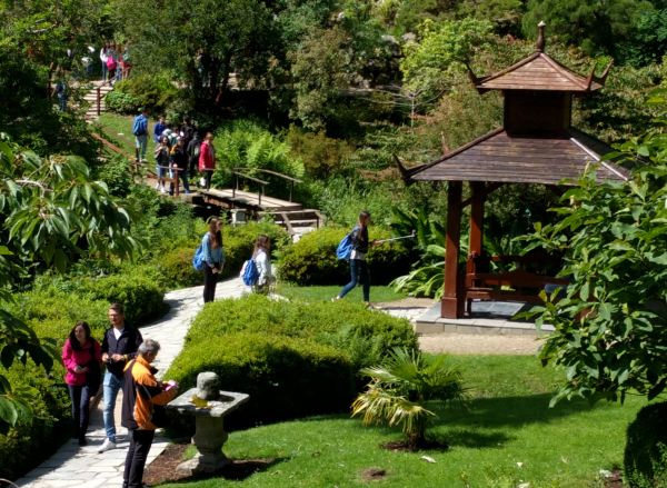 Japanese Garden 2, Powerscourt Estate, Ireland - taken 7.2.16 by FF