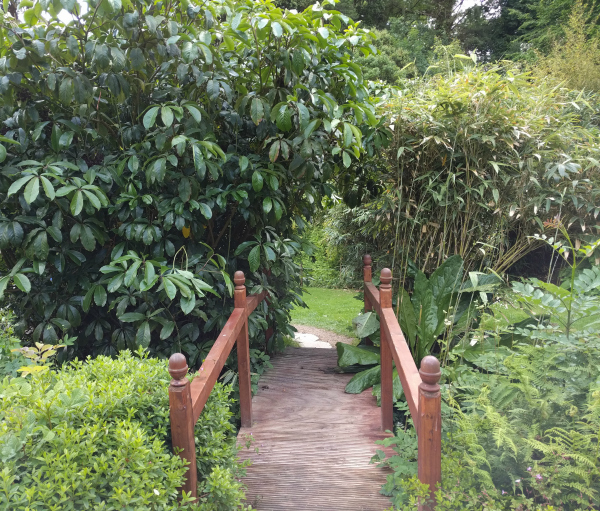 Japanese Garden Bridge, Powerscourt Estate, Ireland - taken 7.2.16 by FF