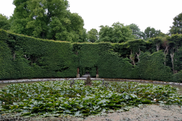 Lily Pond, Killruddery House, Ireland - taken 7.4.16 by FF