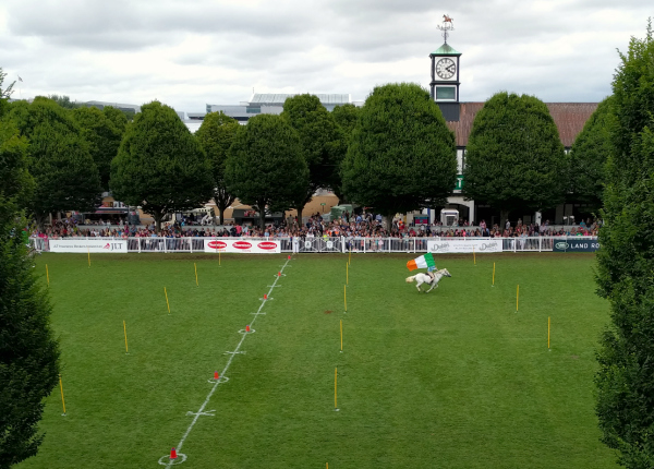 Pony Games, Dublin Horse Show, Ireland - taken 7.23.16 by FF