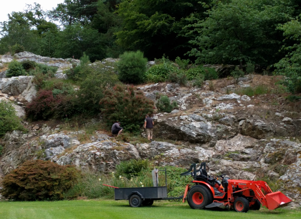 Rock Garden, Killruddery House, Ireland - taken 7.4.16 by FF