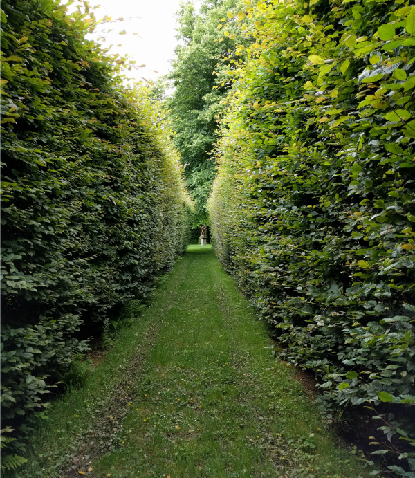 The Angles, Killruddery House, Ireland - taken 7.4.16 by FF